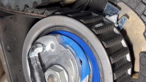 Crc vídeos curiosos