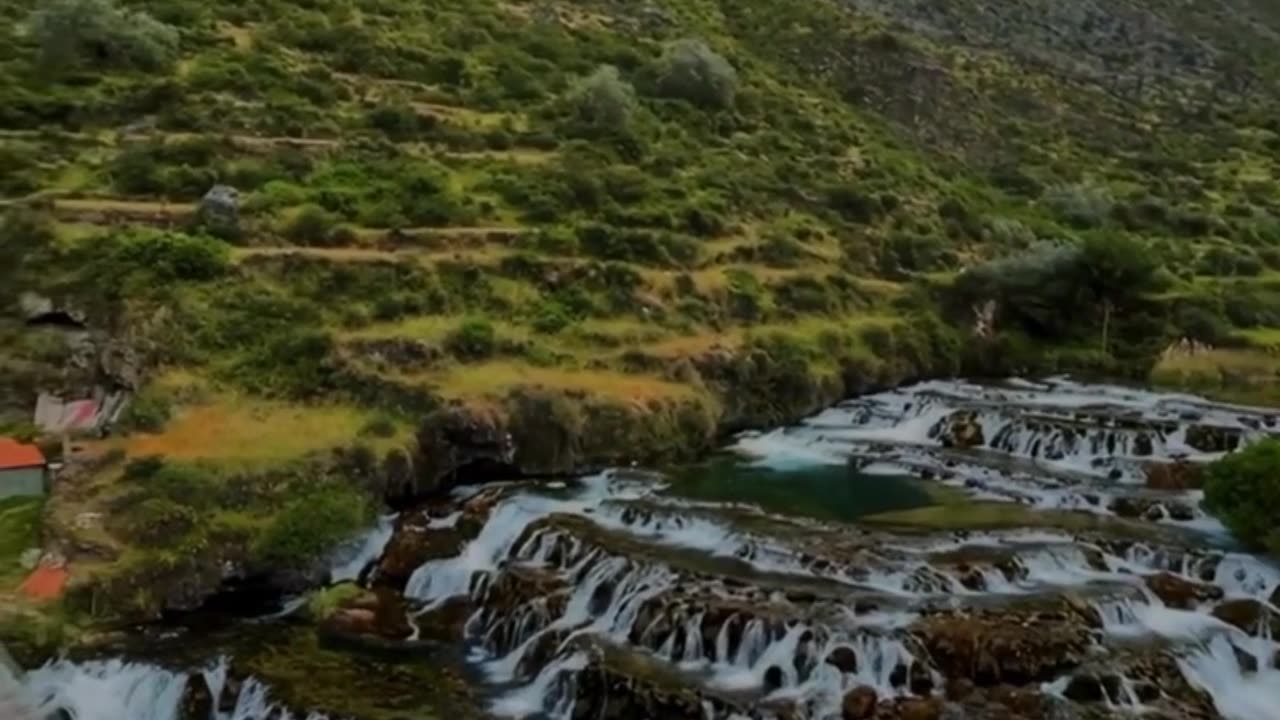 Nature
