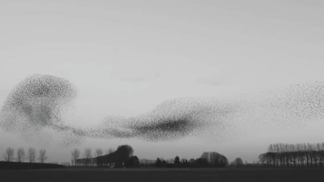 Natural Phenomena Recorded On Camera