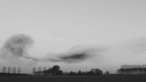 Natural Phenomena Recorded On Camera