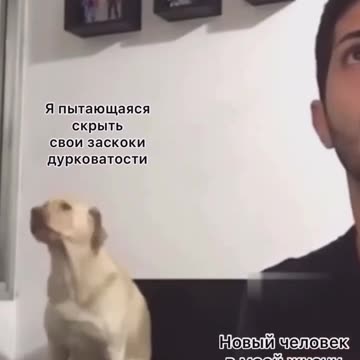 All of us at the bar after a couple of drinks 🤣