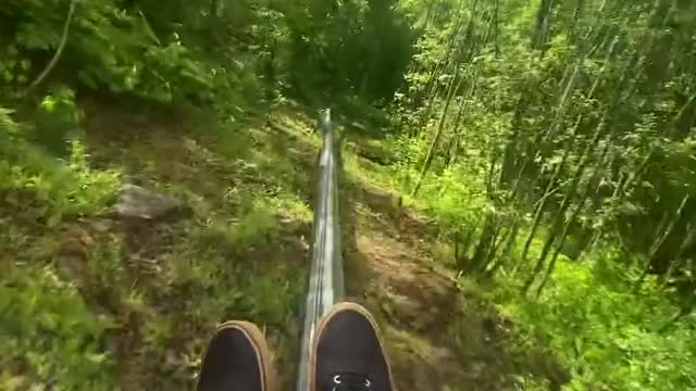 Mountain Coaster 🎢 🏔 🌲 . . . Tag someone you need to do this with! . .