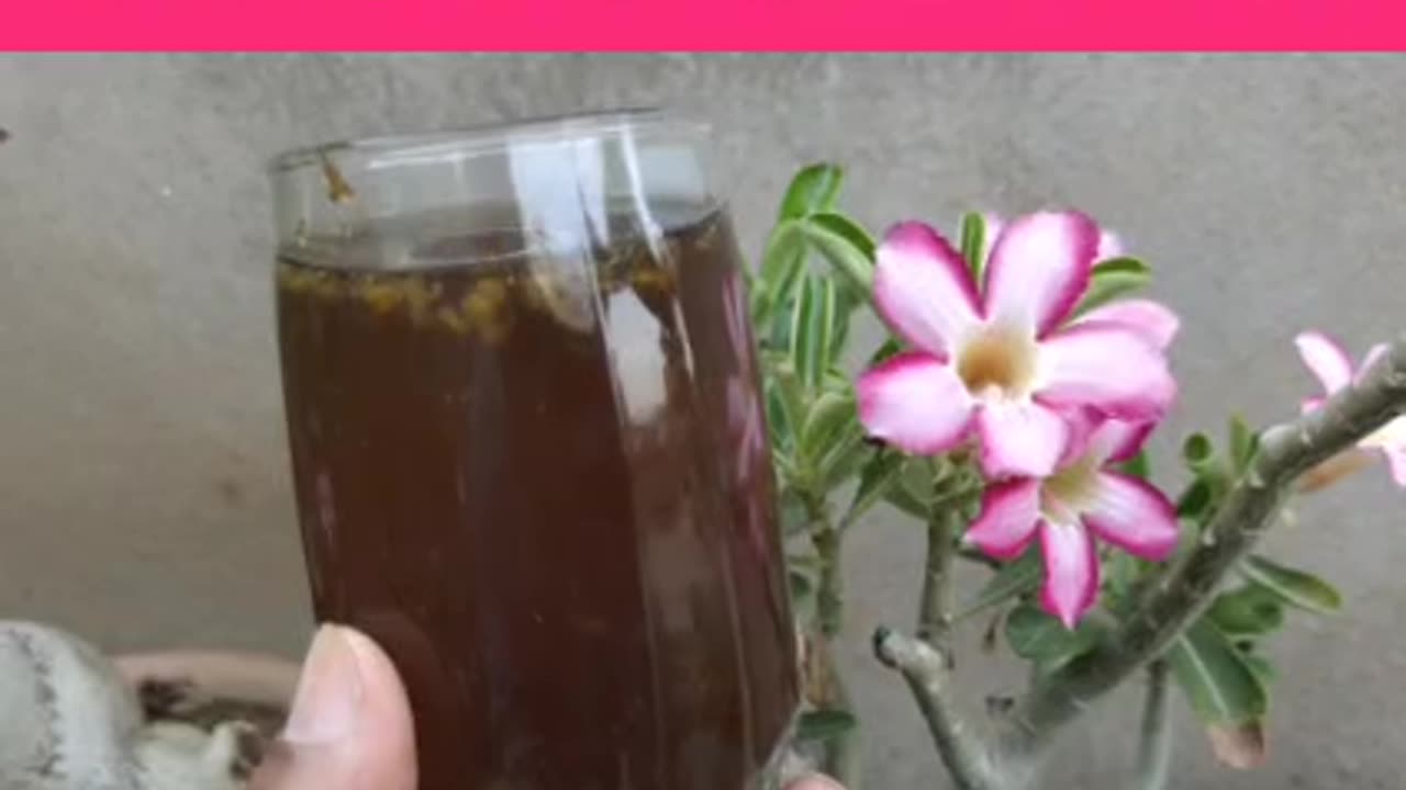 Gardening boost fertilizer