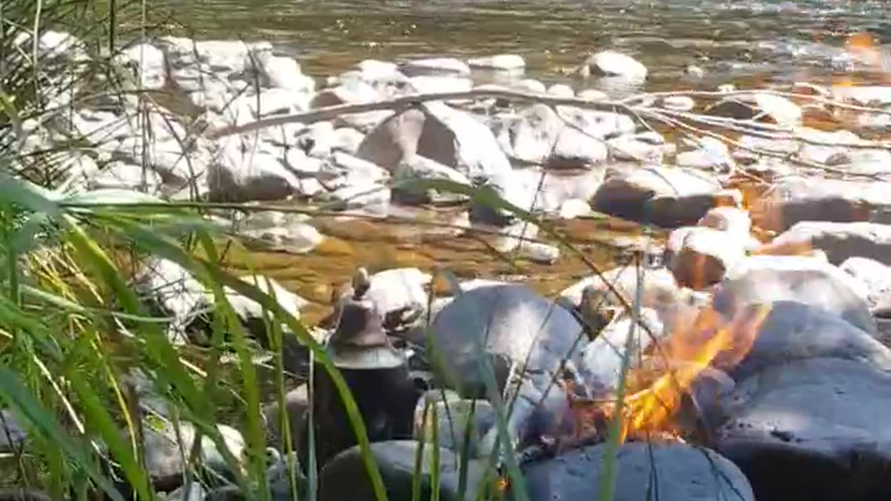 Brewing Tea by the River Canada: A Refreshing and Relaxing Experience