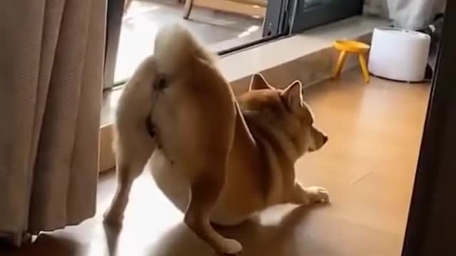 It is you just wake up🤣