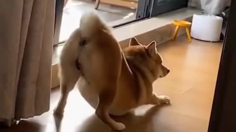 It is you just wake up🤣