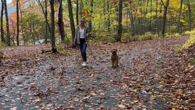 my dog sees me for the first time after 2 weeks apart