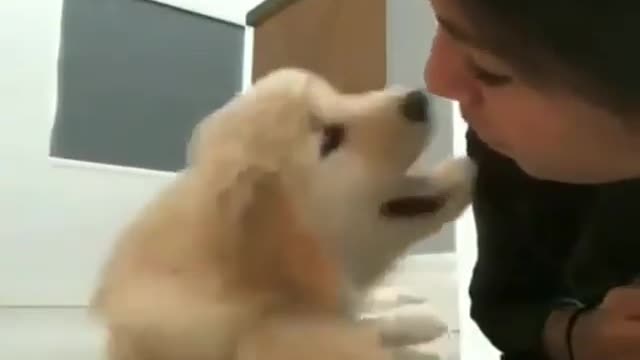 Have a kiss
