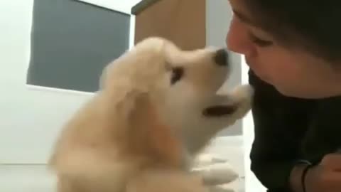 Have a kiss