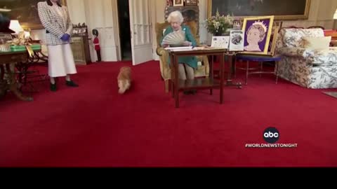 THE QUEEN’S CORGIS