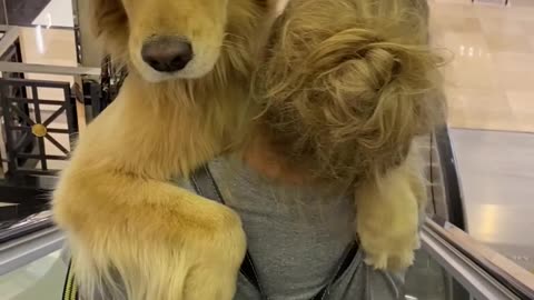 Owner Carries Pet Dog in her Arms Down the Escalators