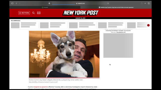 Former Governor Cuomo’s dog
