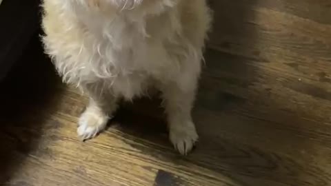 Berkeley Wants To Go Out
