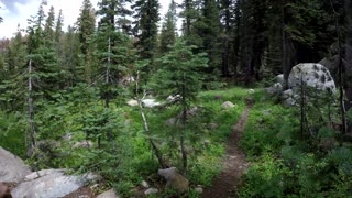 Rough Mountain Biking Trail