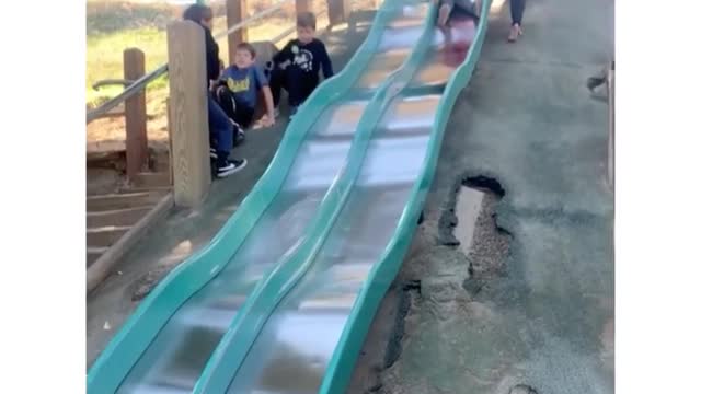 Dog enjoying slide in park