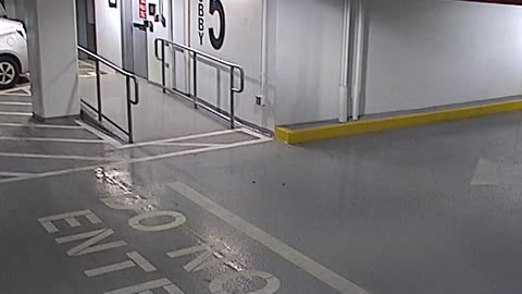 6080RHOBG3G305ANorthLobbyEntry_2021-01-06_15h20min03s367ms.mp4