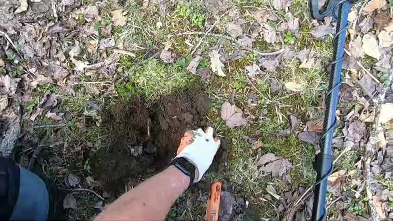 1774 Homestead return finds a nice civil war relic