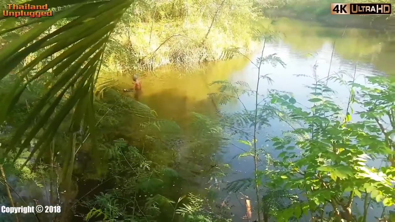 The real Thailand, Muang Khong, Nakhon Ratchasima, Korat