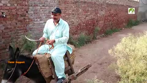Village life in pakistan