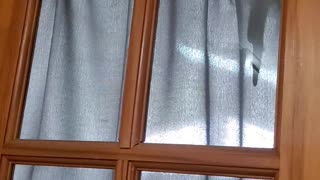 No privacy with Butters
