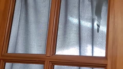 No privacy with Butters