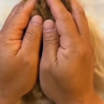 7.cute baby cat 😺😺 #cat #shorts