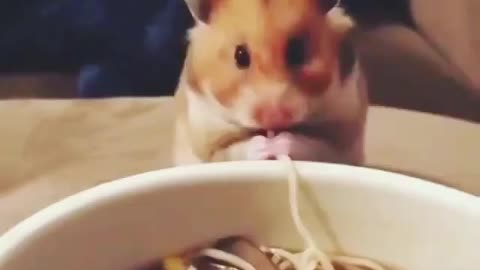 It's time for us to eat noodles together😂
