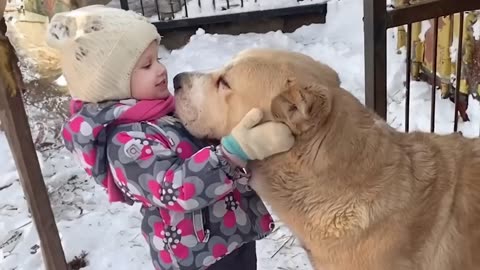 Beautiful life - A dog's love shapes a little heart