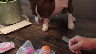 What happened when Thor received baby rubber ducks in the mail