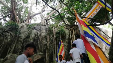 Temple Srilanka