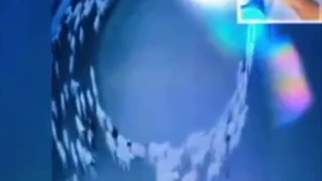 Scientists tried to Warning!……