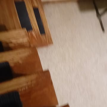 My dog is a karen when it comes to the drumset