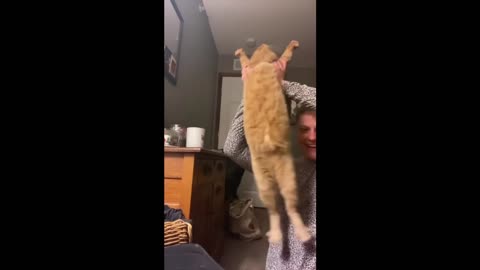 funny animal - hilarious pets that will make you laugh