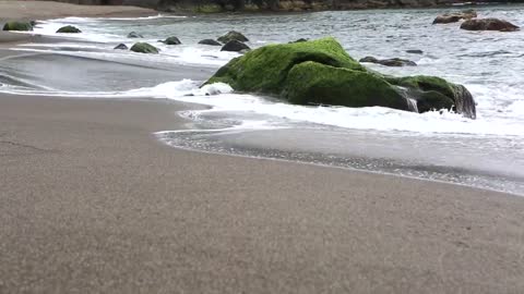 Beautiful Beach Sea Waves Creative Commons Videos Free HD Videos