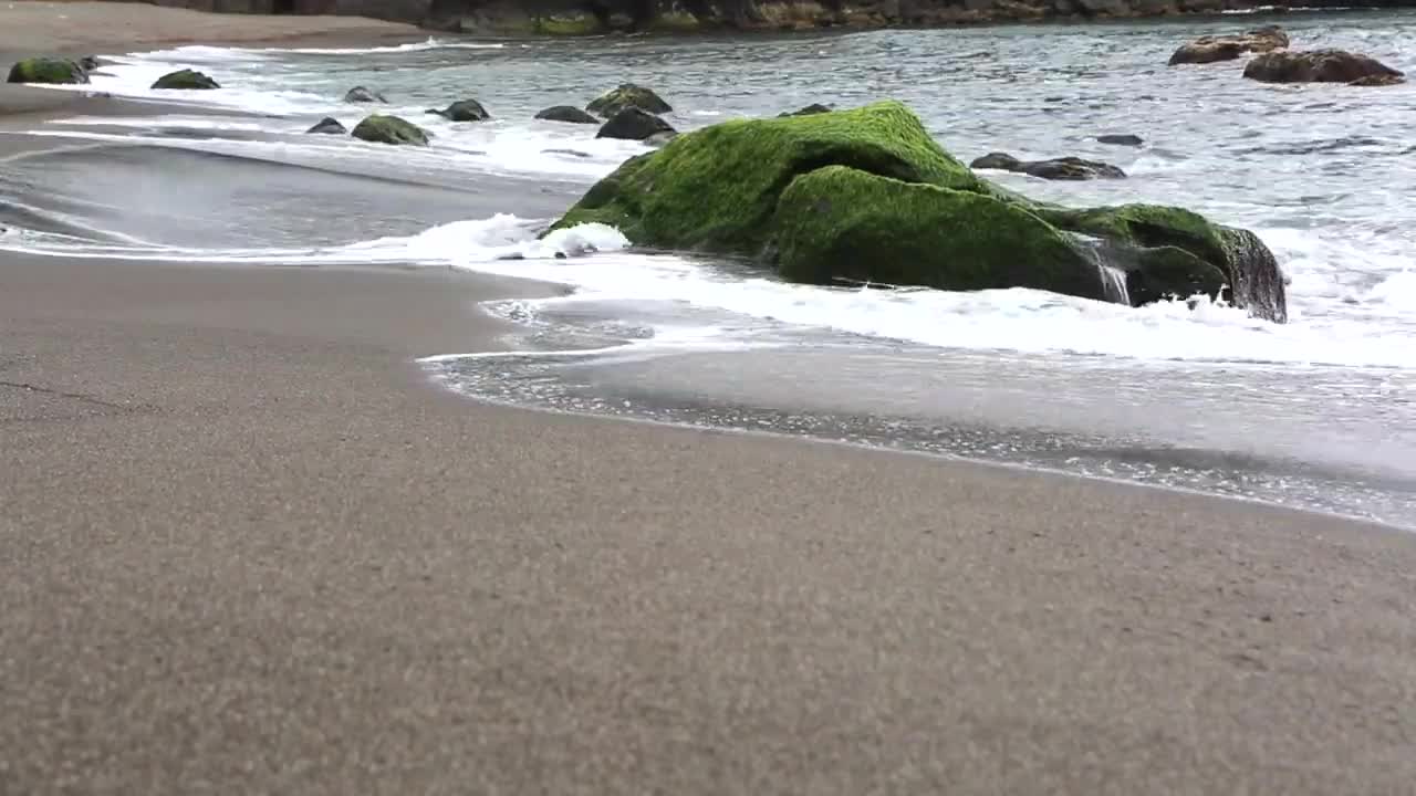 Beautiful Beach Sea Waves Creative Commons Videos Free HD Videos