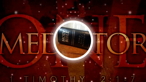 Holy Bible 1 Timothy 2