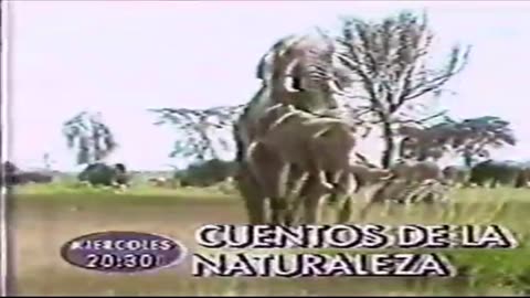 Cuentos de la Naturaleza - Promo de Canal 4 de Uruguay (1995)