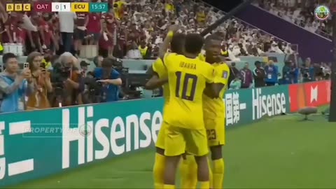 Beautiful football at the World Cup in Qatar.