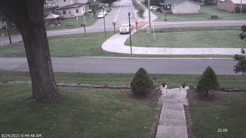 Car on Greenbelt