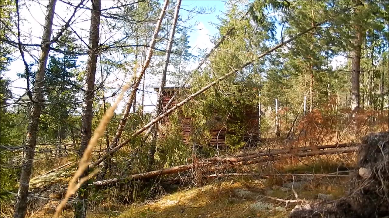 Hylätyt Mestat työmaakoppi ue-17