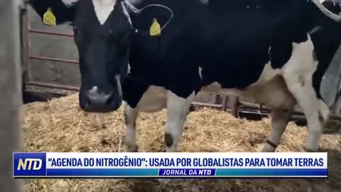 “Agenda do nitrogênio” usada por globalistas para tomar terras: produção de alimentos em risco