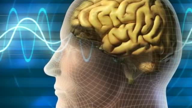 Amazing facts about human brain...