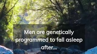 BOY FACT
