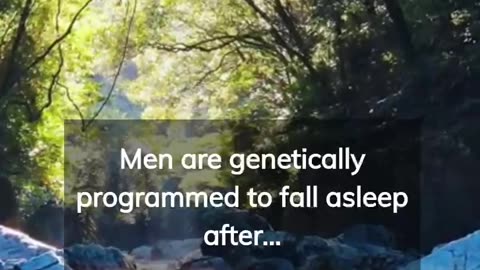 BOY FACT