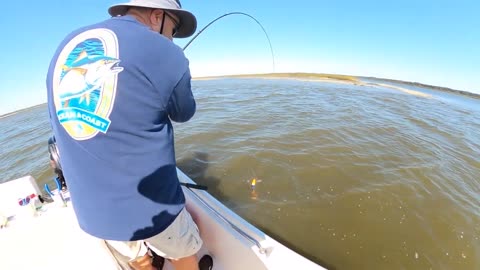 Catching Trout, Reds, and Sharks in Georgia