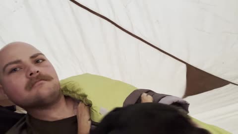 Cold weather camping with my 2 dogs