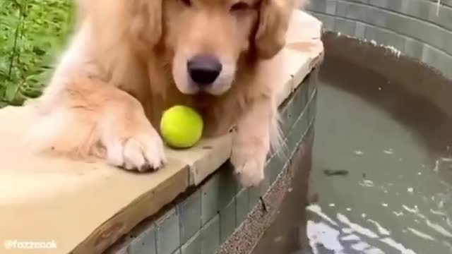 hmmm quite a drop into de water Linda