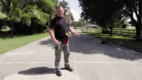 GERMAN SHEPHERD OFF-LEASH! CRAZY TRANSFORMATION.