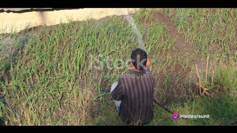 HINDI MORAL STORY / सबका एक साथ