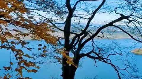 Lakeside scenery